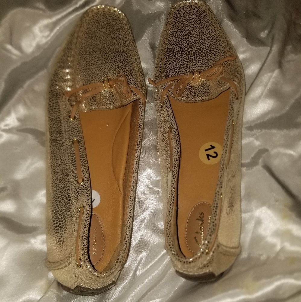 Clarks Shoes (Brand new )